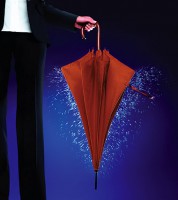 /album/foto%c4%9fraflar%3a%20resim%20galerisi/umbrella-jpg/